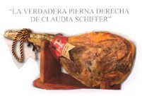 cortesia de nel amaro para klaussvandamme official website reservados todos los derechos all rights reserved vegap